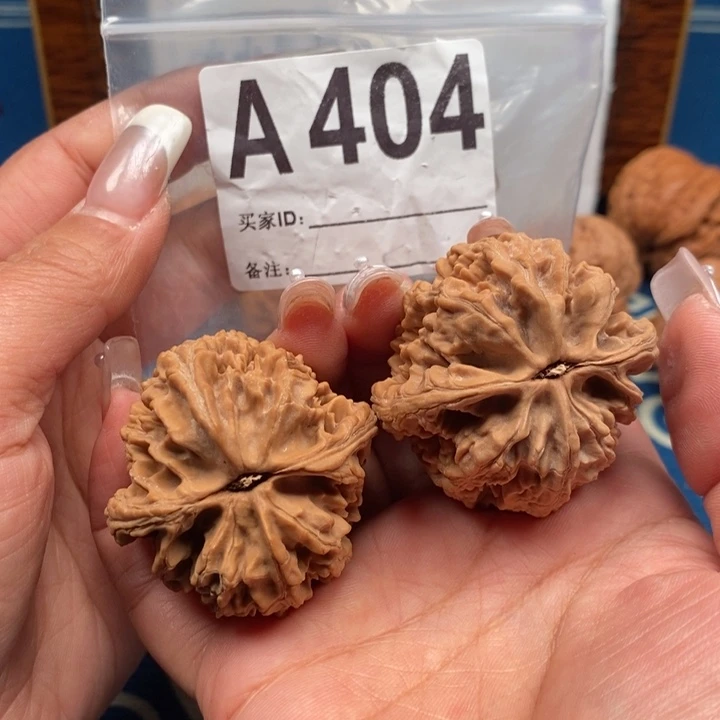 文玩核桃吊坠大沽石全品43A404