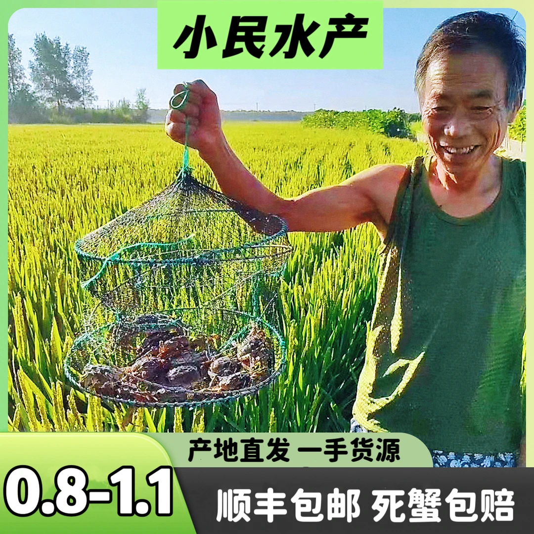 【活蟹】盘锦河蟹(公)0.8-1.1两4斤50-55只辽宁省内顺丰包邮做香辣