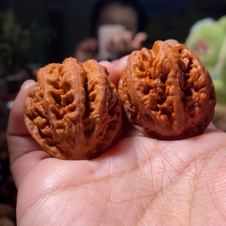 把件文玩核桃东北楸子小路 231