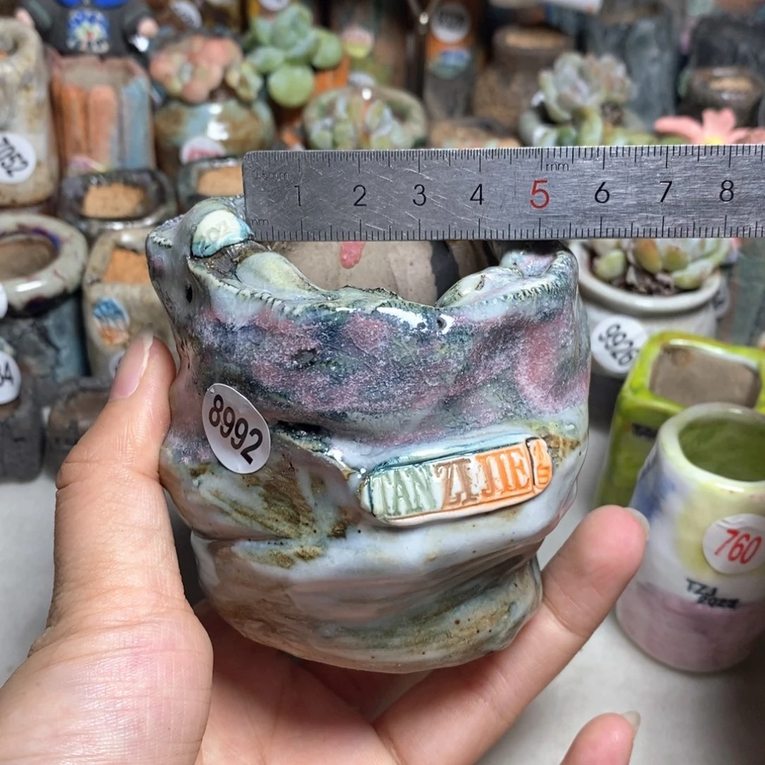 拍3送一个小礼物