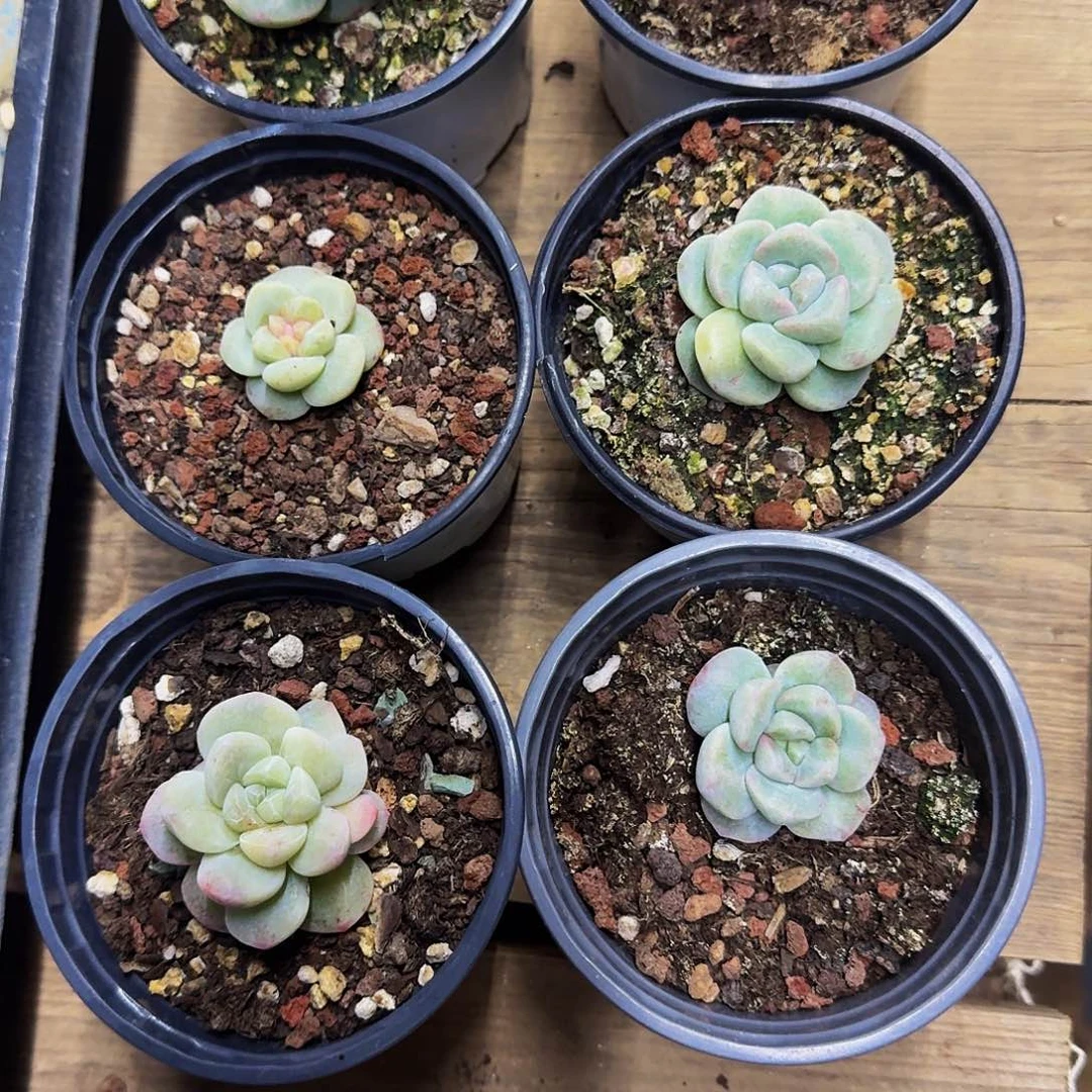 于**渔哈哈哈哈哈哈哈哈哈哈