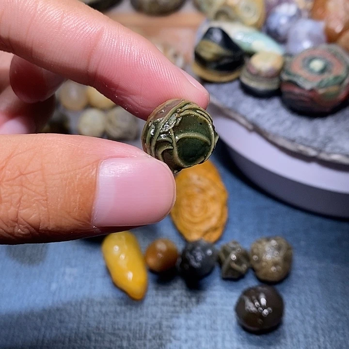 石头卫*精品筋脉单科