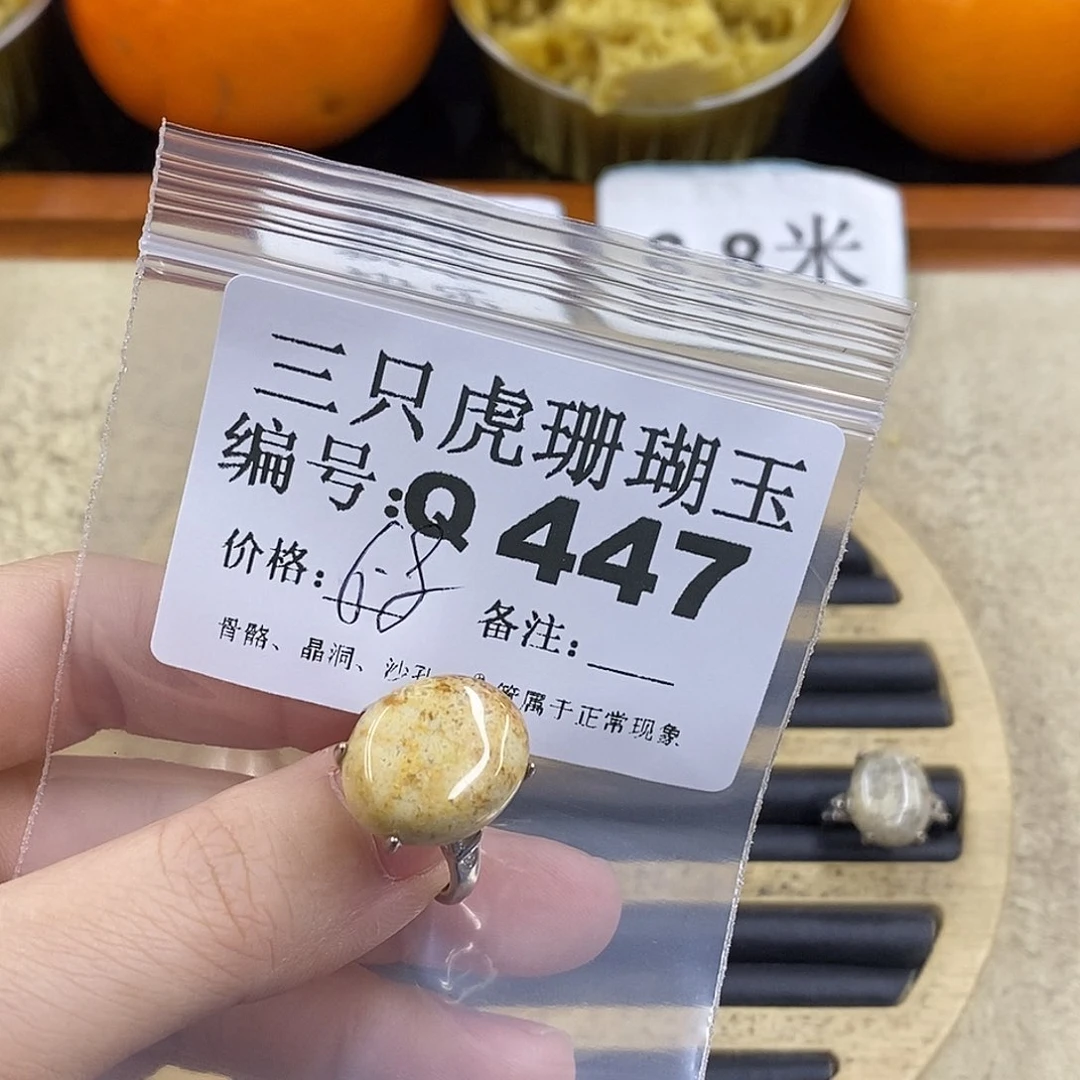 硅化珊瑚（珊瑚玉）1未镶嵌用****0