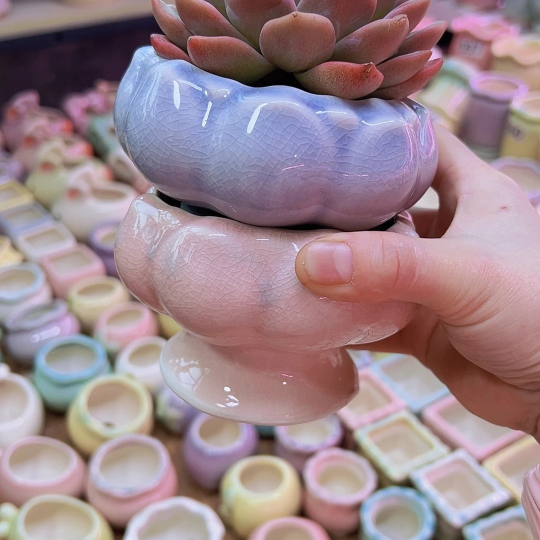 陶瓷花盆当场凑到12包邮