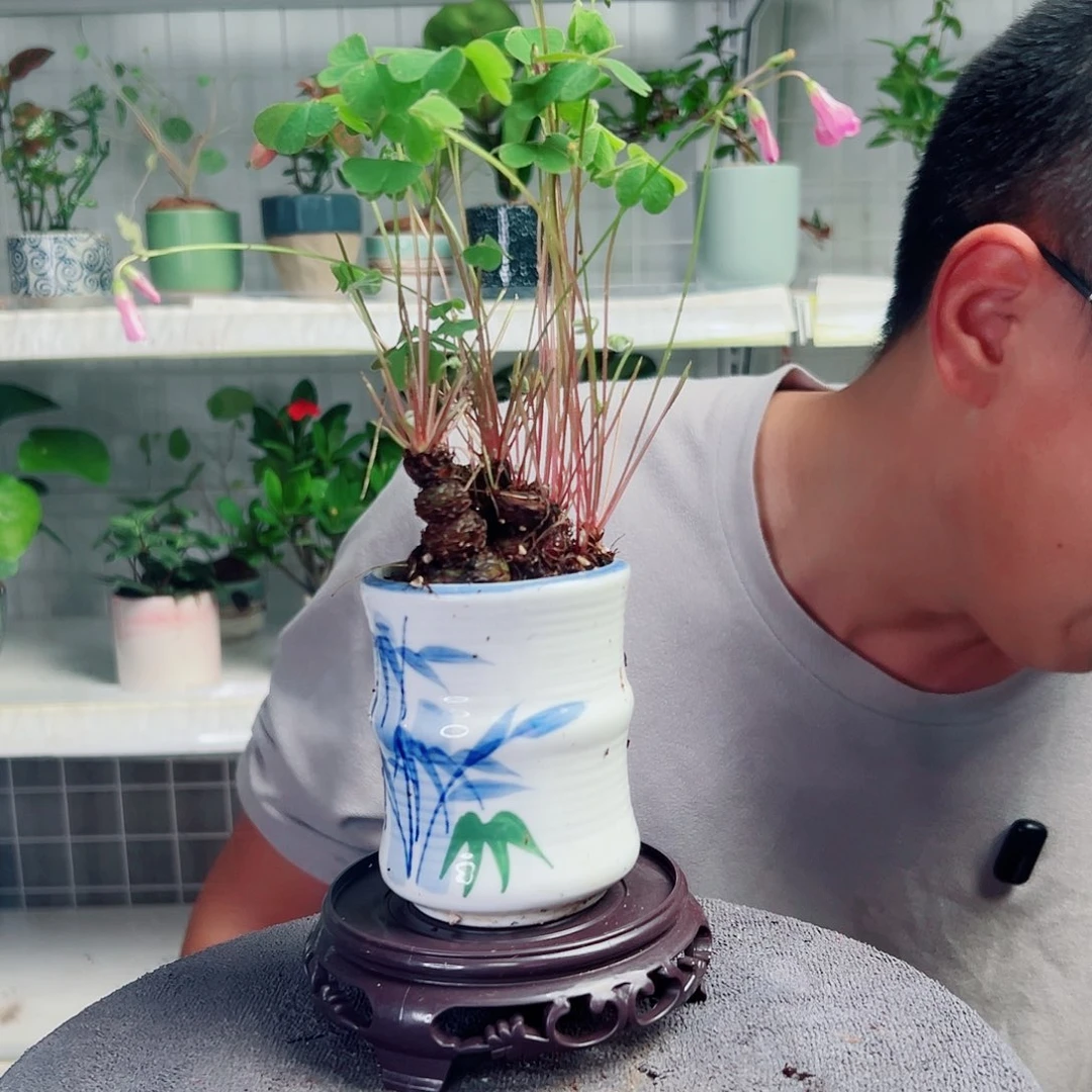 麦***光无花朵30