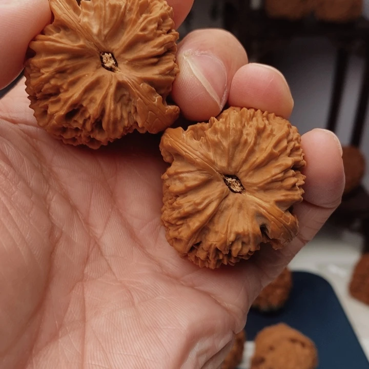 一***儿核桃精品88888888