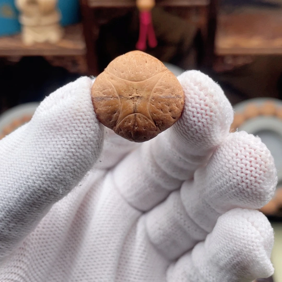 吊坠凤眼菩提口****?麒麟