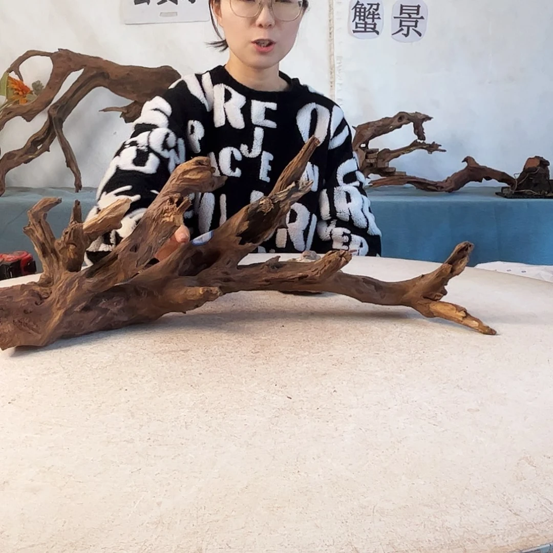 沉木造景爬宠造景