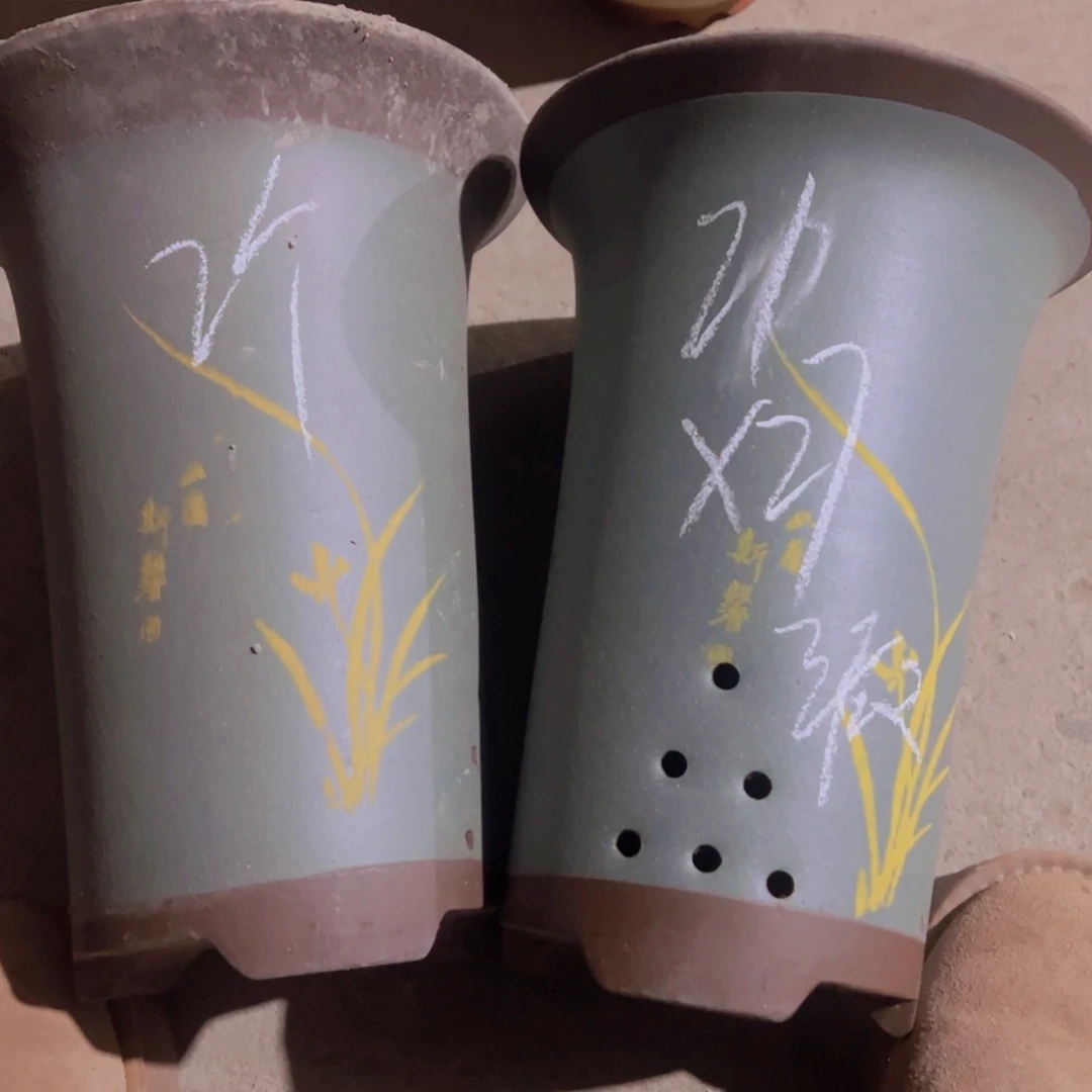 紫砂47……………………………………