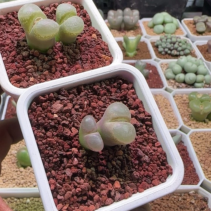 035 哈哈哈哈哈哈哈哈