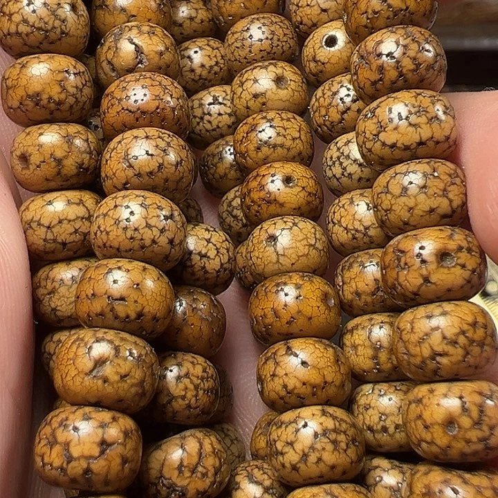 我们都是在这里看到的哈我们