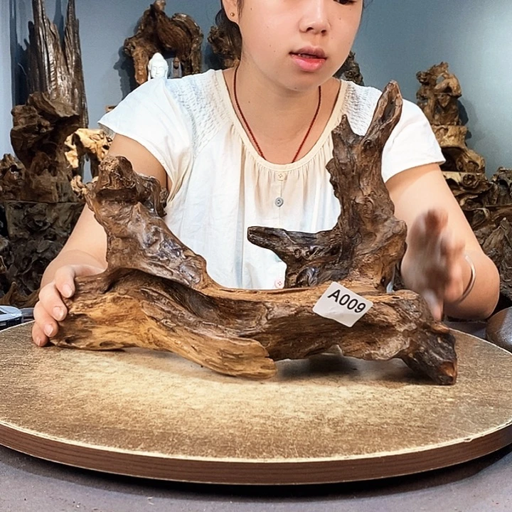 茶盏漫*009株木随行的小根艺