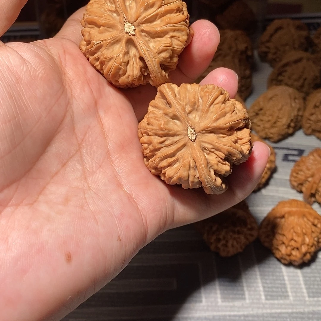 文玩核桃把件014大粗筋49尺全品头货