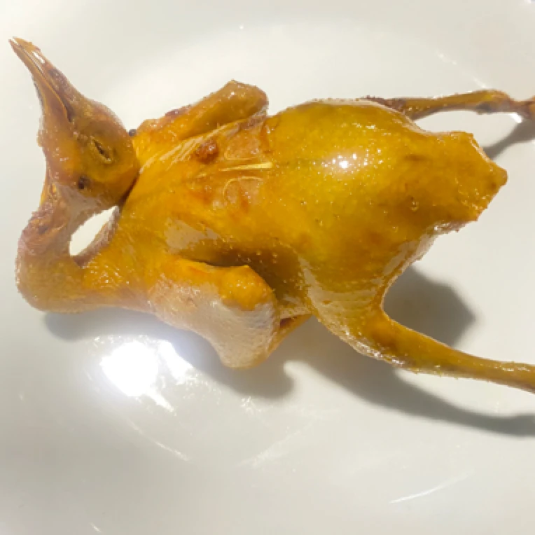 湖南特产盐焗鸽熟食开袋即食香辣解馋零食休闲小吃