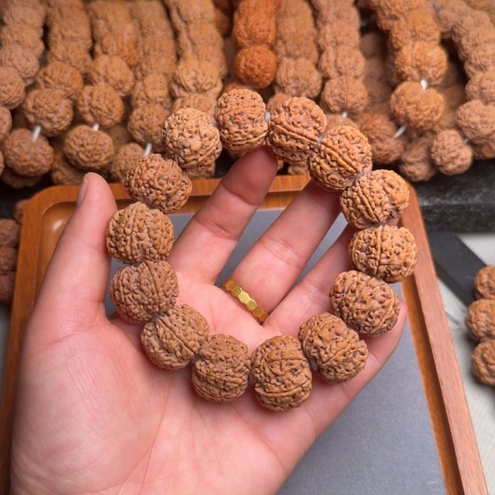 菩提25号尼泊尔大金刚23/24六瓣