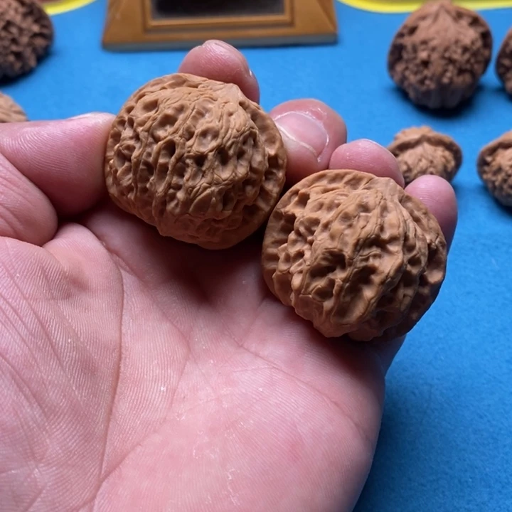 核桃全品无修龙胆狮子头