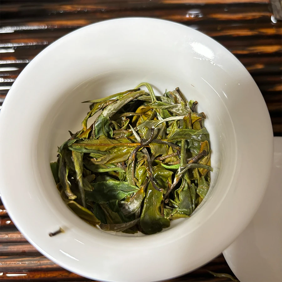 2023年桂青大叶种古法六堡社前茶