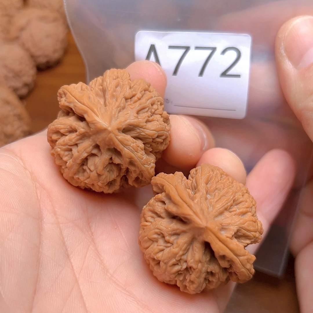 文玩核桃吊坠40大粗筋