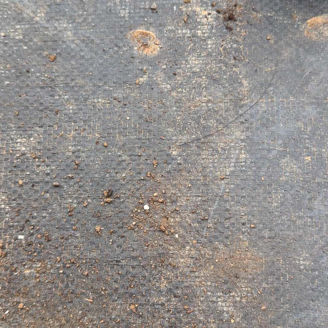 ?*雯糖心东云混量拍六号箱子发货