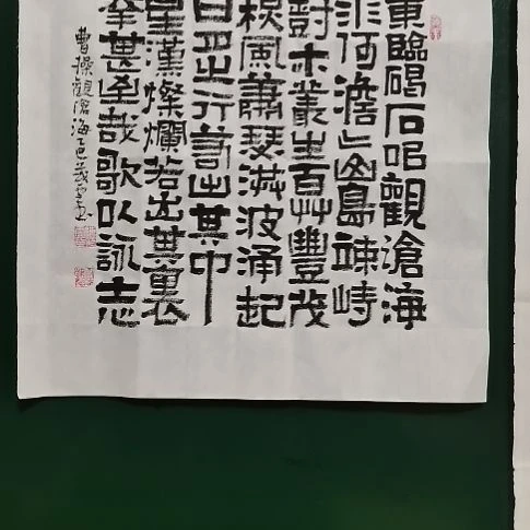 书法观沧海一平尺斗方。。。。