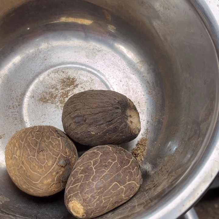 吊坠千眼菩提象牙果，3 个。