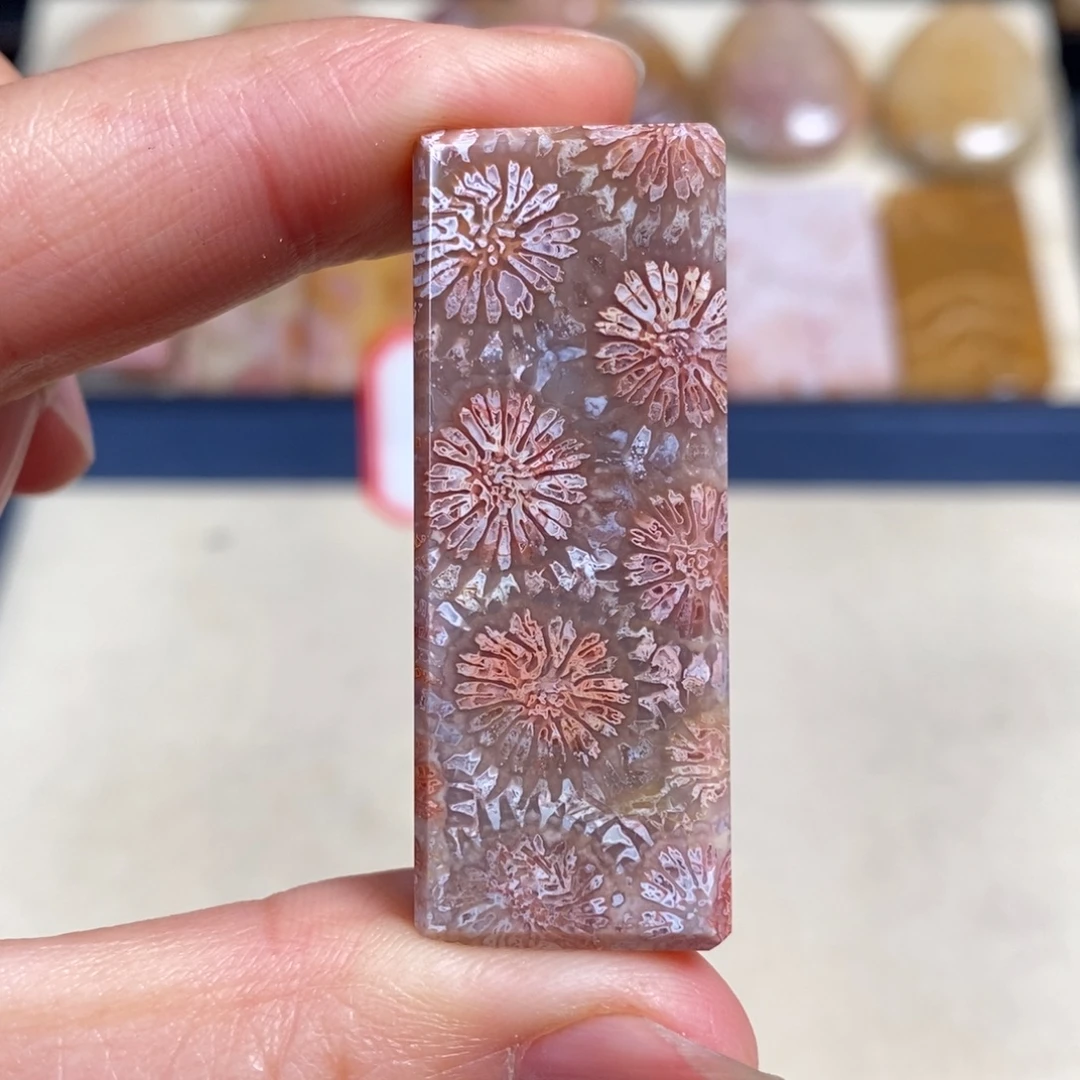 硅化玉未镶嵌吊坠