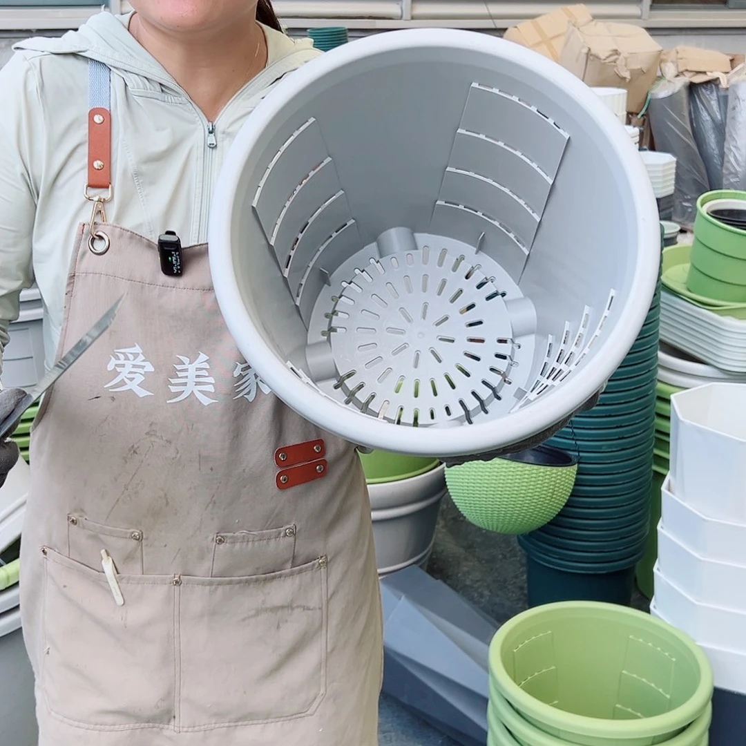 玫瑰370#灰白色4个无托