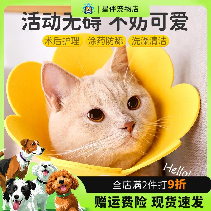 伊丽莎白圈猫绝育项圈猫咪头套防咬围脖伊利莎白圈狗脖圈宠物用品