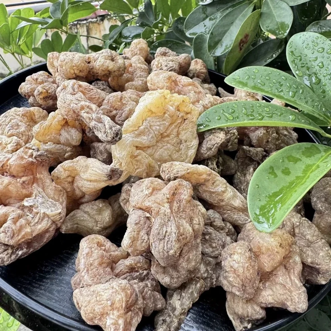 高山【玉精灵】 500g 王大帅哥专属