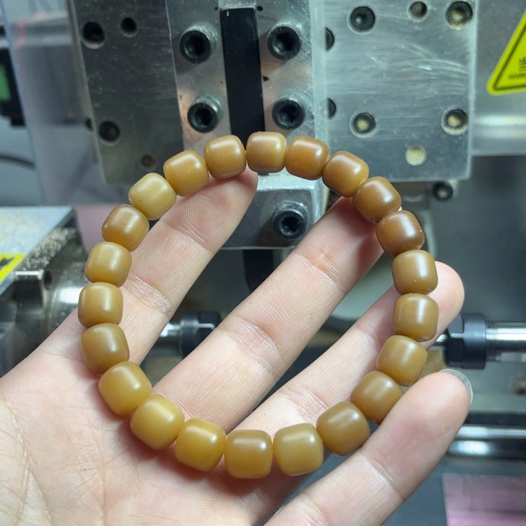 手串菩提根/象牙果