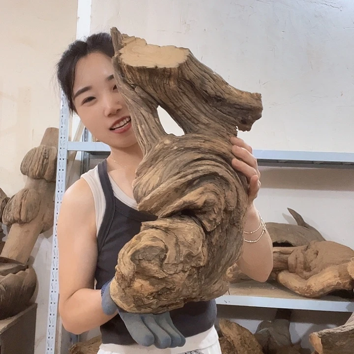 柏木小**艺我们的生活也是如此的丰富