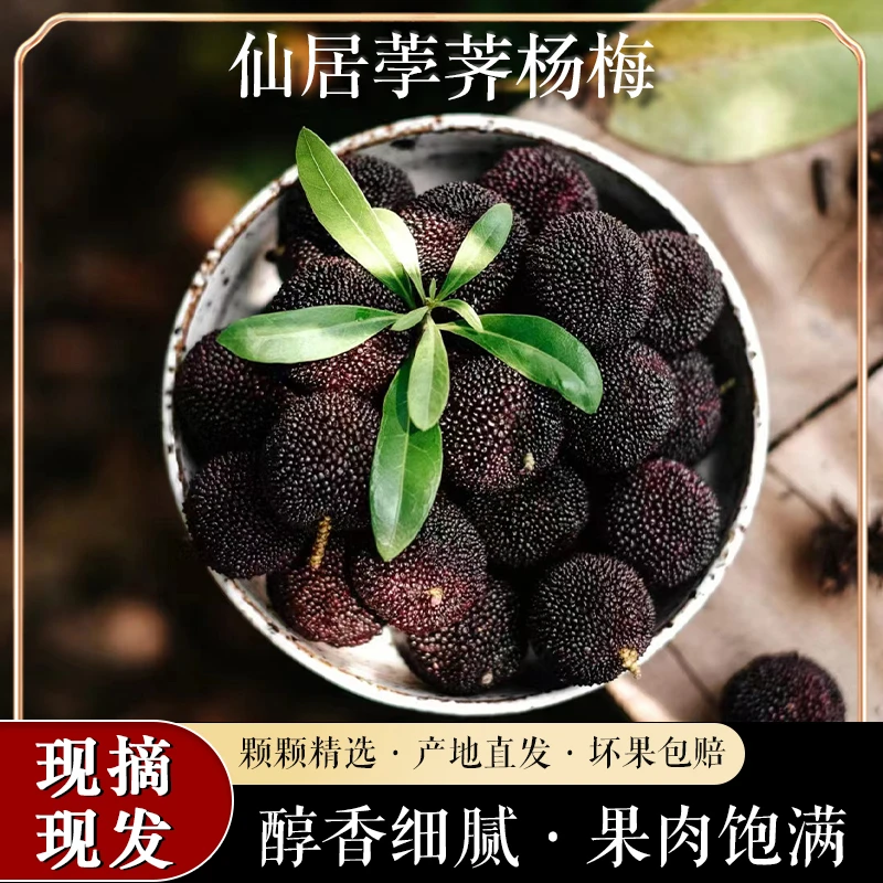 【新号宠粉】正宗仙居杨梅果园直发现摘现发满口果香荸荠杨梅