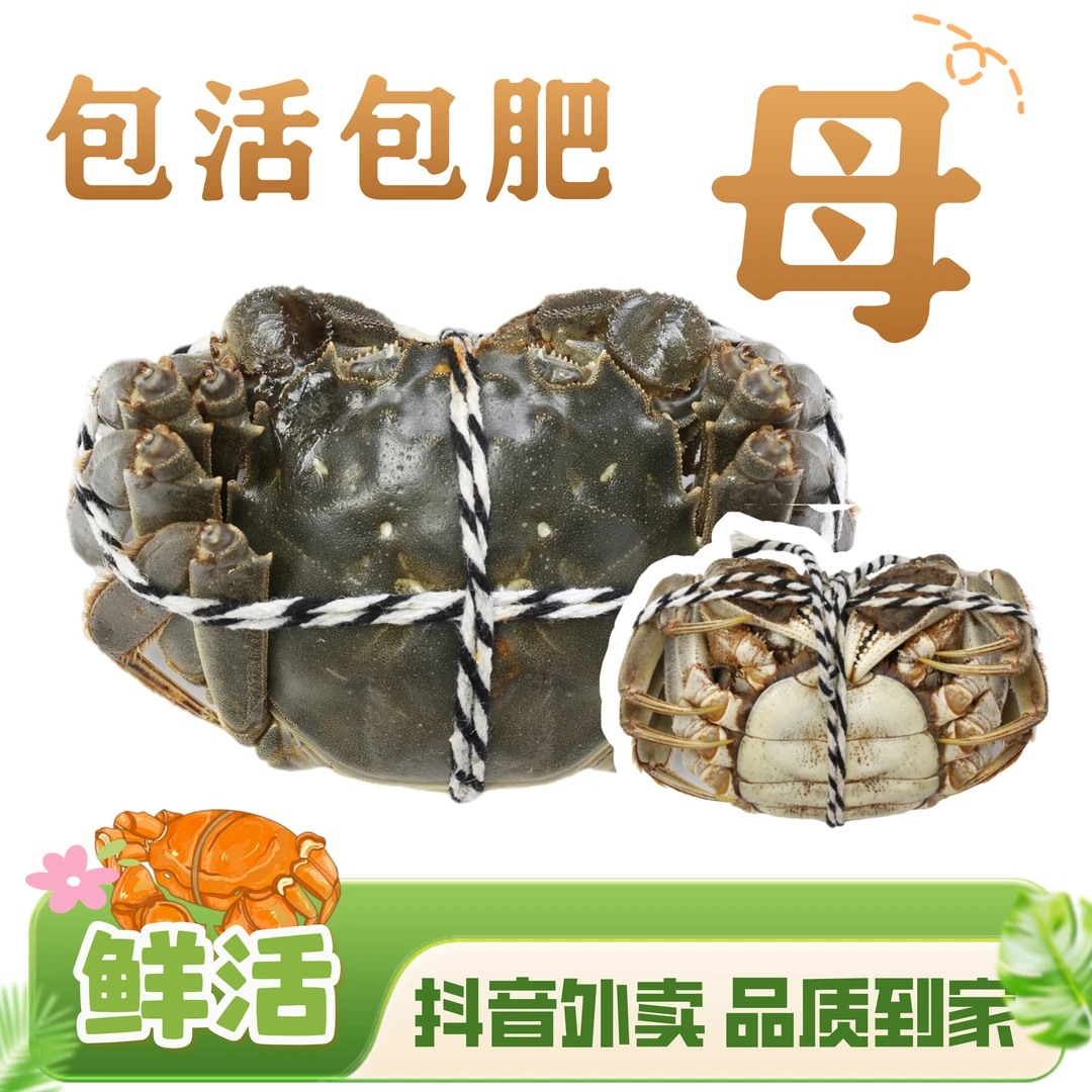 【活蟹包肥】大闸蟹母蟹1.5~1.8两 1只 去绳净重 无黄死蟹包赔
