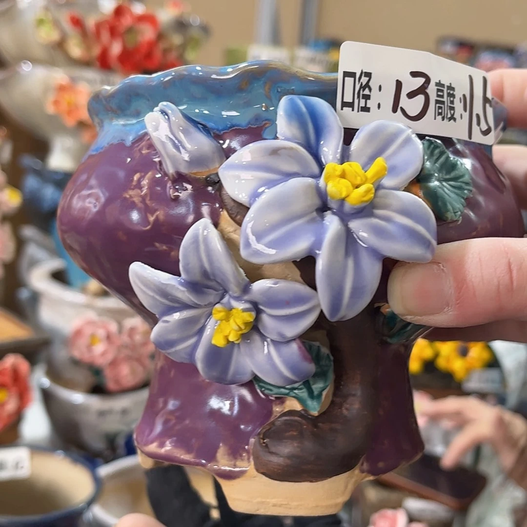 【闪购商品】红陶福利