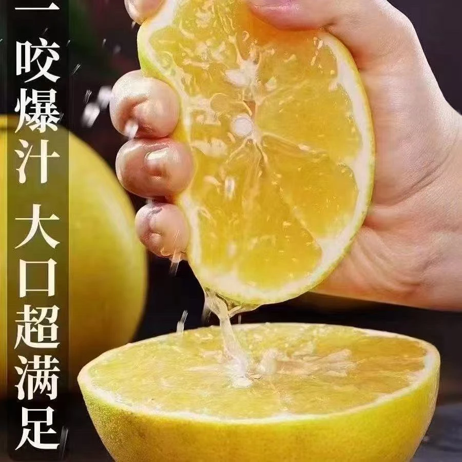 LS【明日达｜送榨汁碗】福建爆汁黄金葡萄柚非柚子当季新鲜带枝叶发货更新鲜福建省