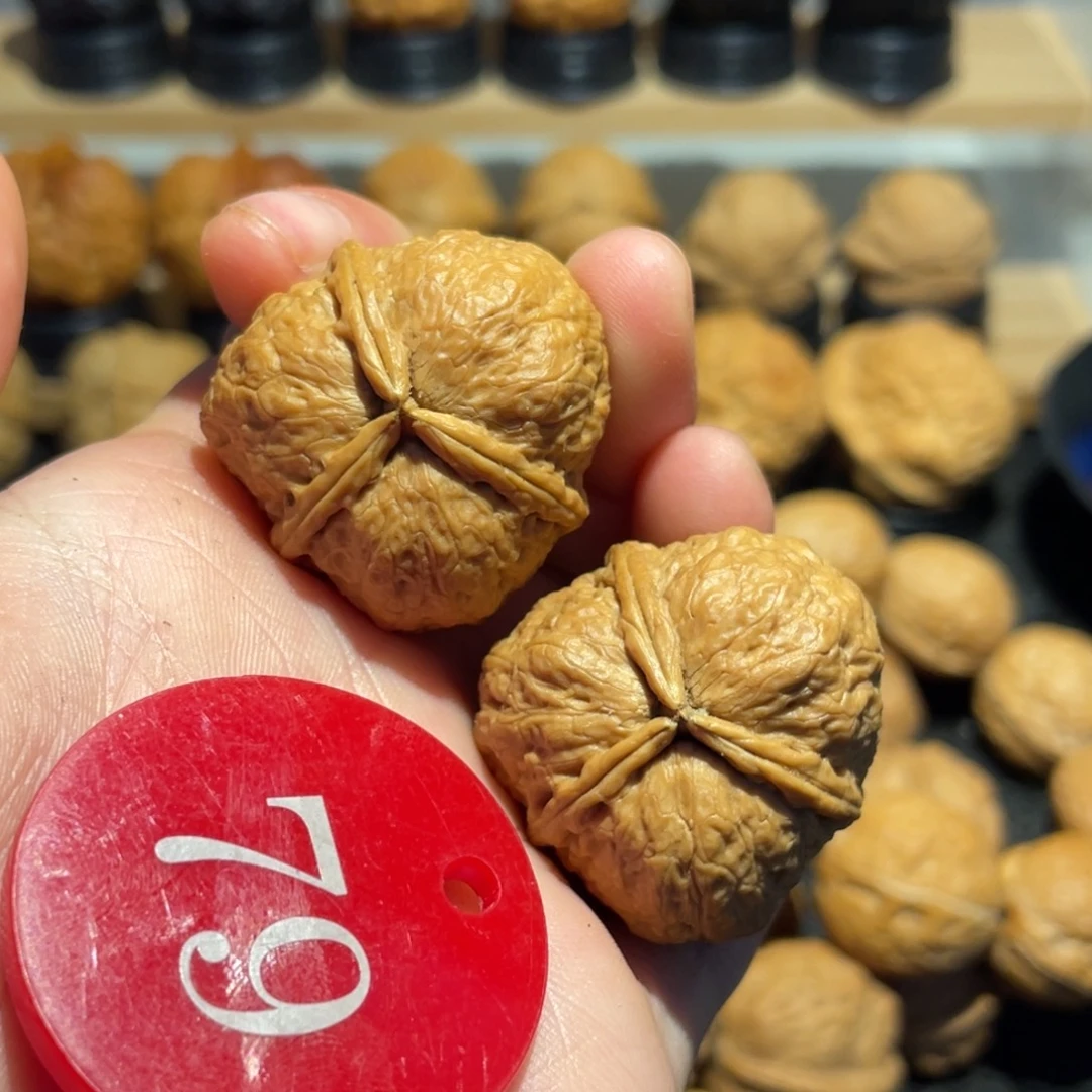 蚂蚁纹正奔三棱32。
