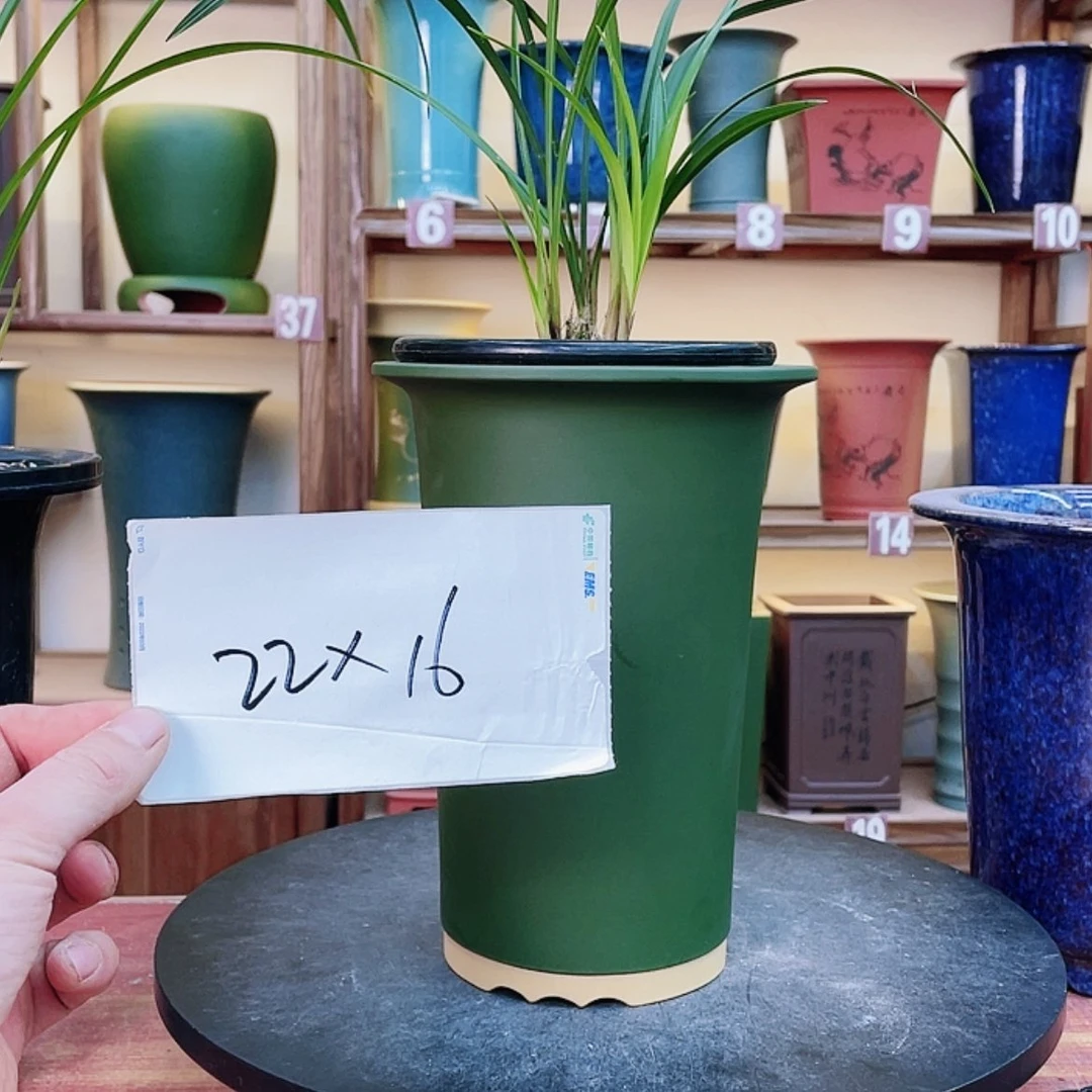 【闪购商品】紫砂花盆兰花412544558455585555