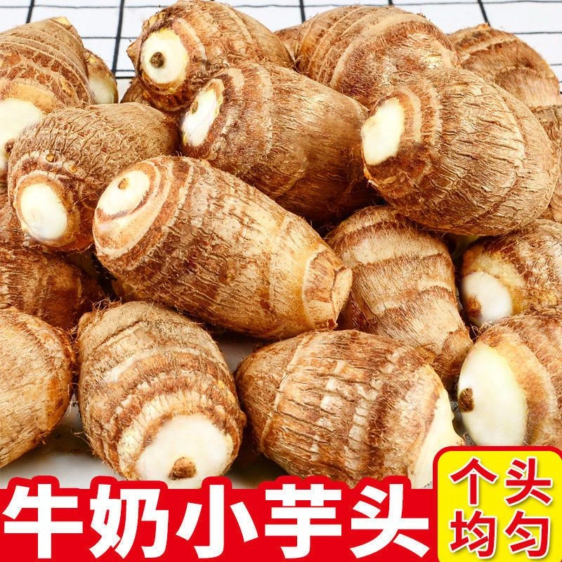 【坏果包赔】芋头贵州新鲜小芋头毛芋头香芋粉软糯芋艿仔批发包邮
