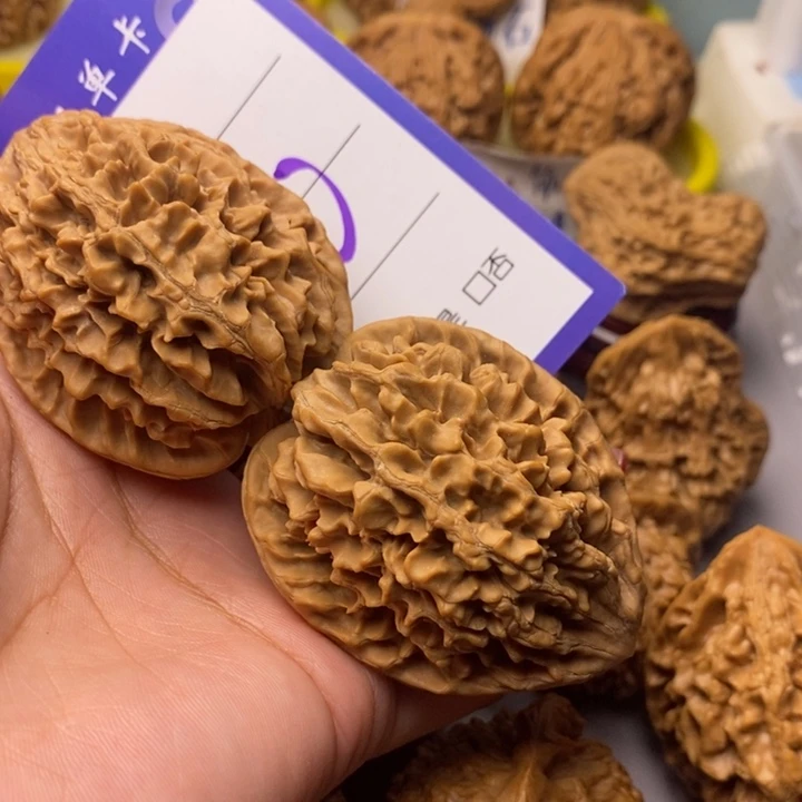 文玩核桃把件中*50号发财鼠