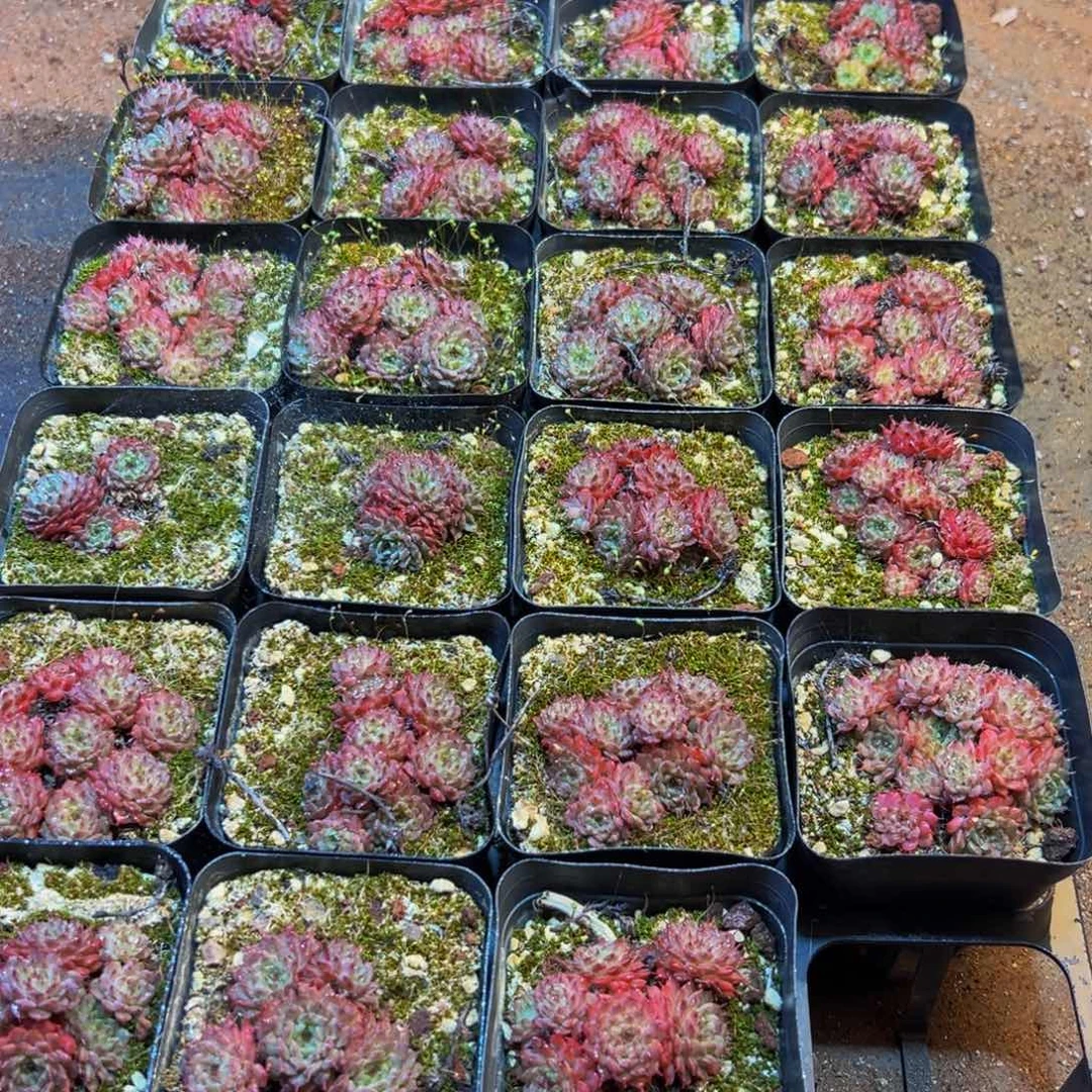 132大热天的一天从早上开始就