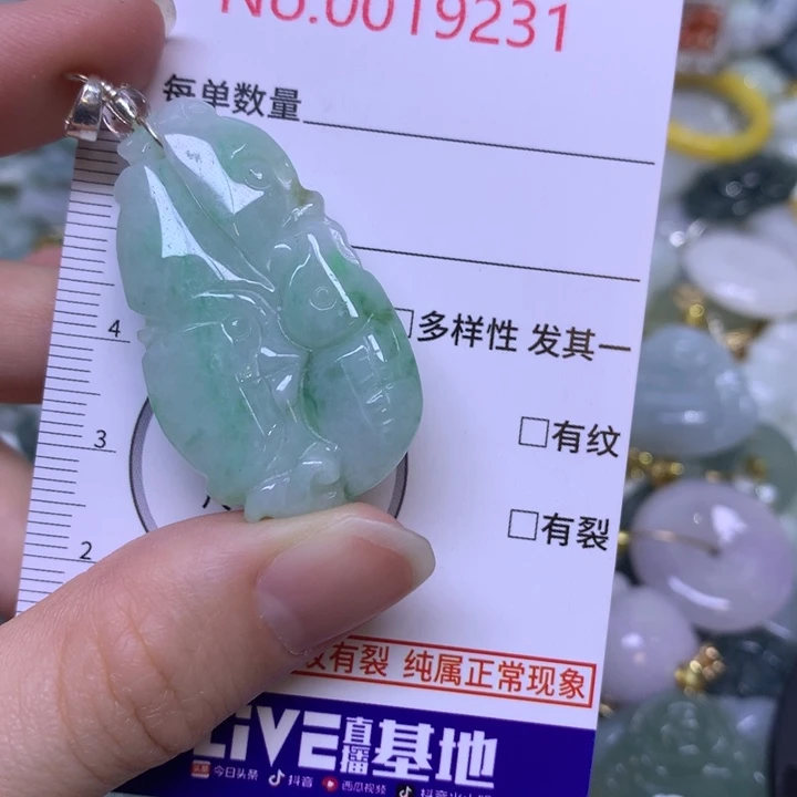 翡翠未镶嵌吊坠(不含链)