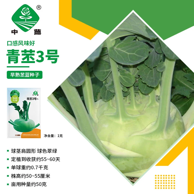 ZhongShu/中蔬【农科院】中蔬水果苤蓝种子青苤3号农科院秋季种植