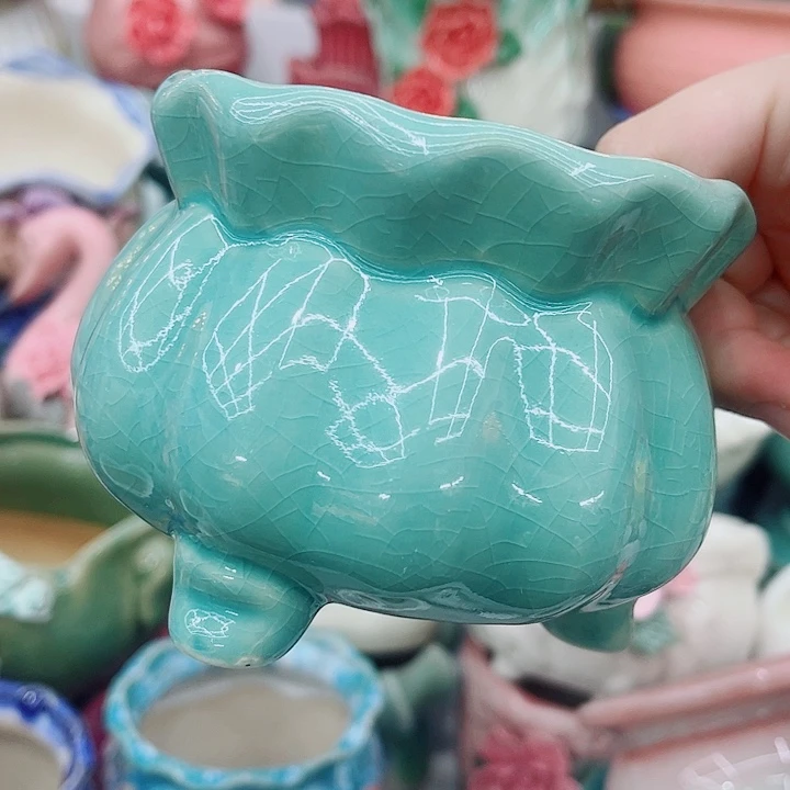 多肉植物陶瓷花盆