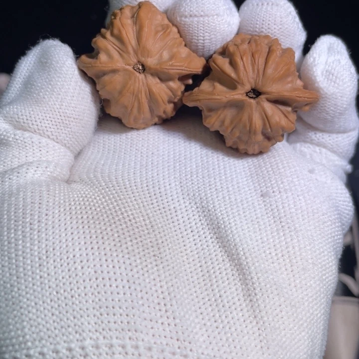 文玩核桃把件34公子帽、、…