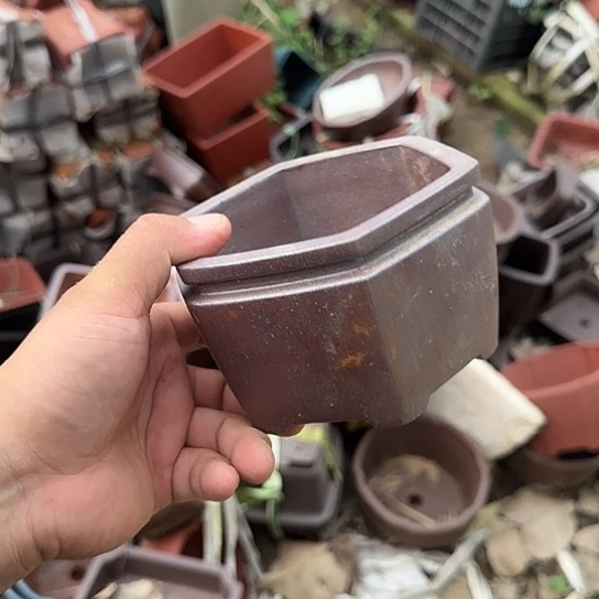 你就在家里吃好吧亲爱你