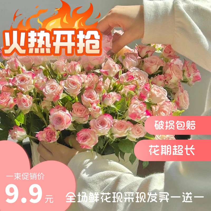 碎冰蓝折射泡泡多头玫瑰云南基地直发新鲜花束家用装饰家用鲜花