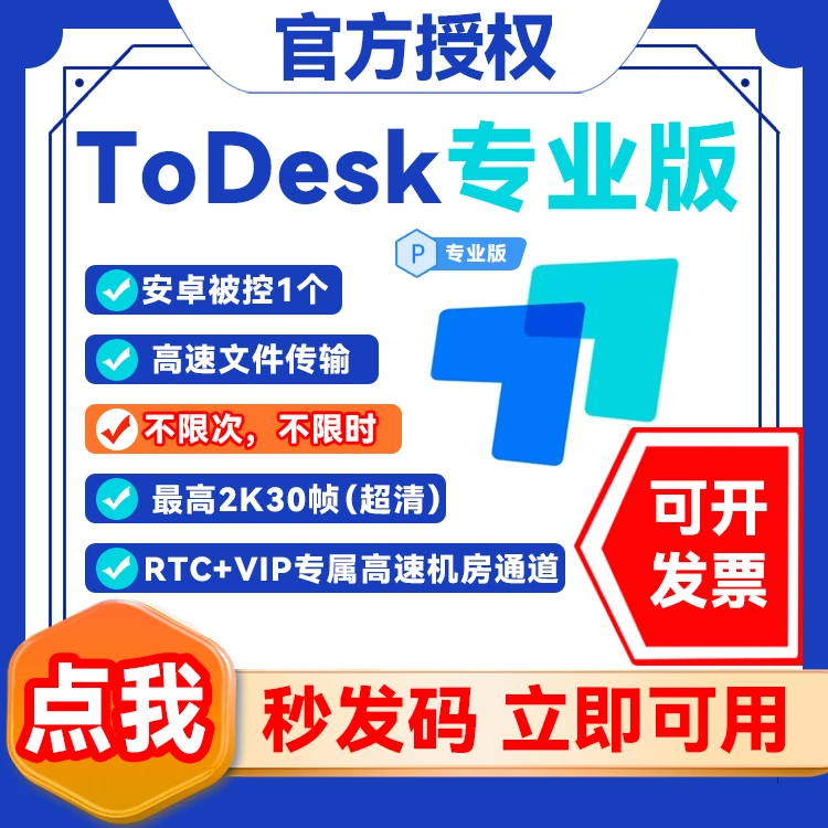 【todesk】专业版丶游戏版（1年使用权）-兑换码