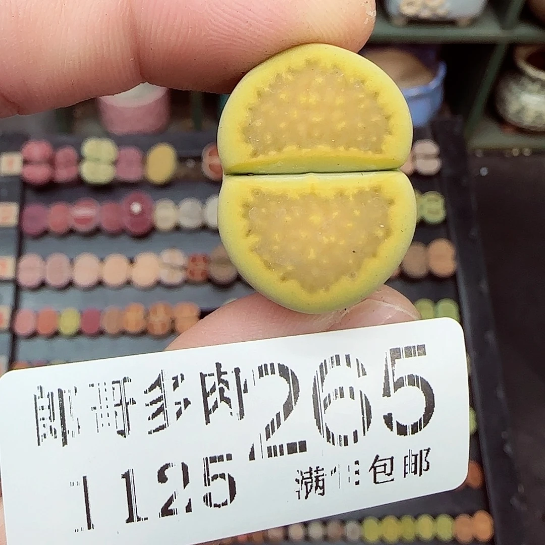 ****m满满18包邮1125-265