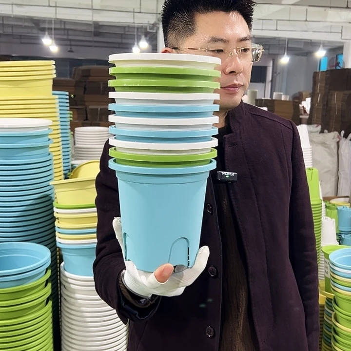 正品圆控口15高15白色10只带托