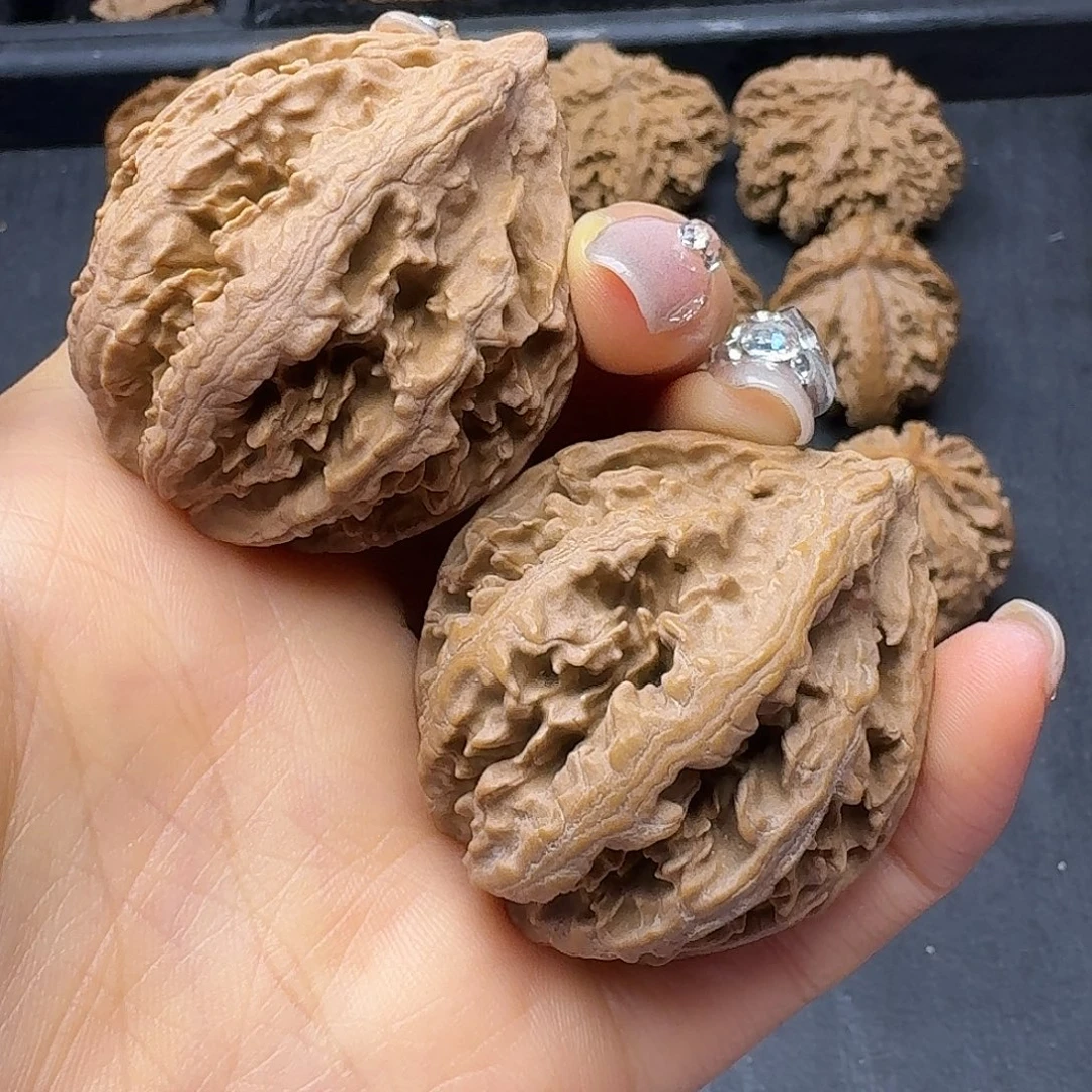 桃木突突突突突突